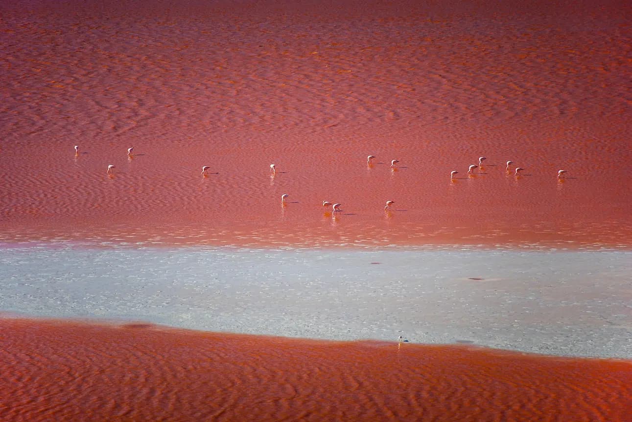 Laguna Colorada