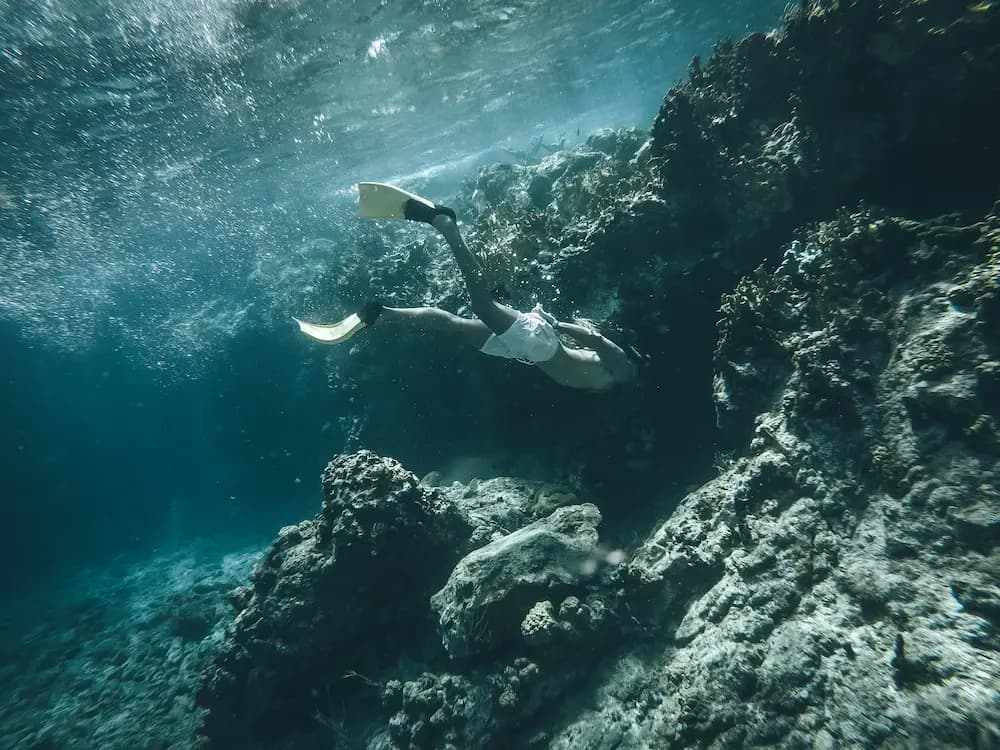 Buceo en arrecifes