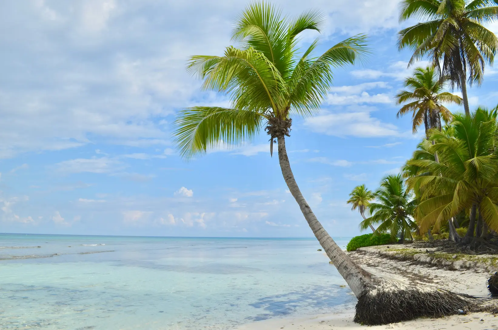 Caribe