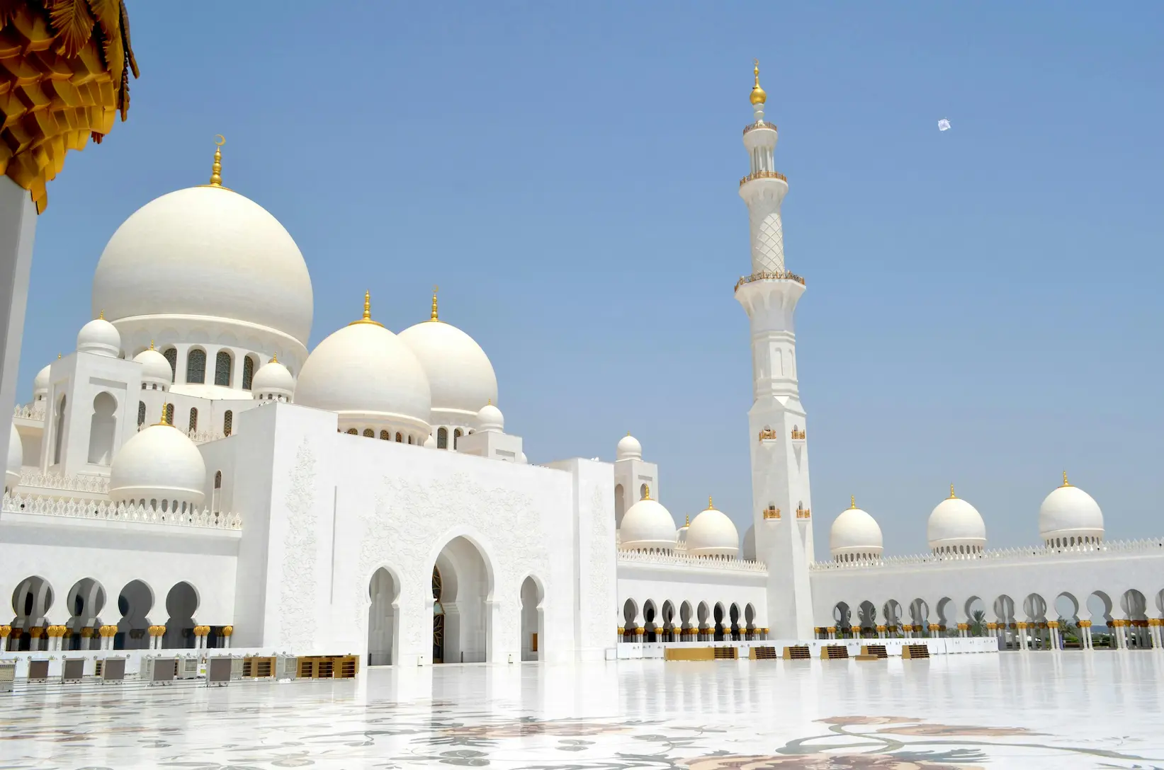 Tour por Abu Dabi