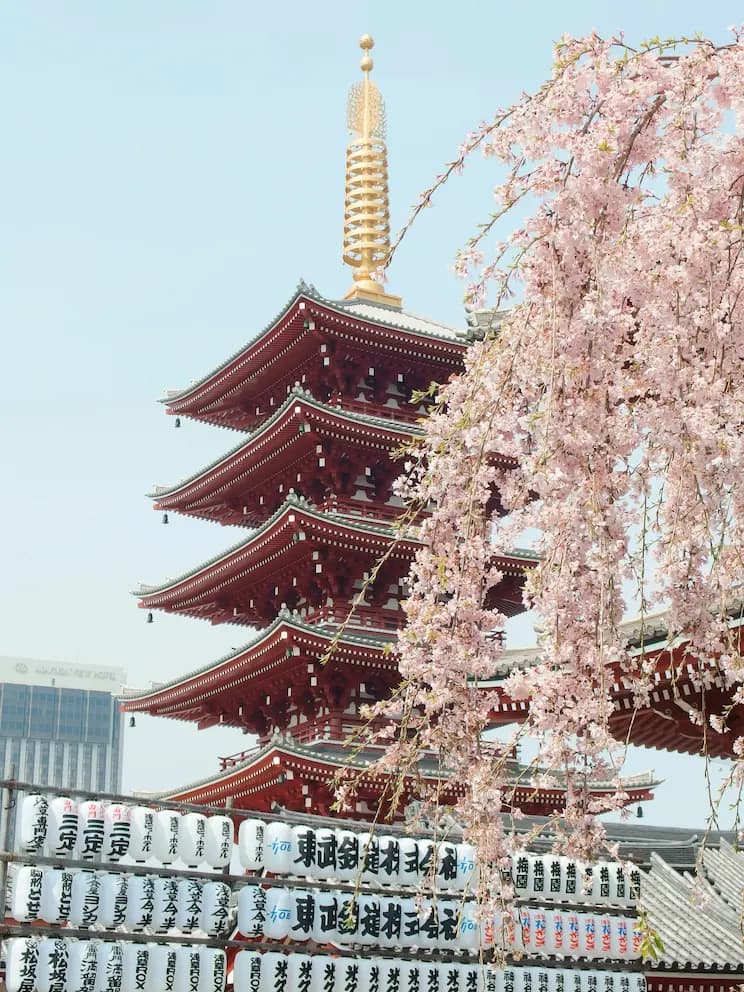 Imagen representativa de Japón