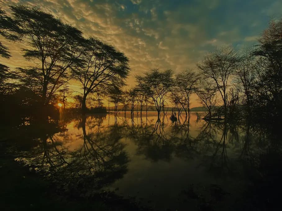 Paseo en Barco por el Lago Naivasha