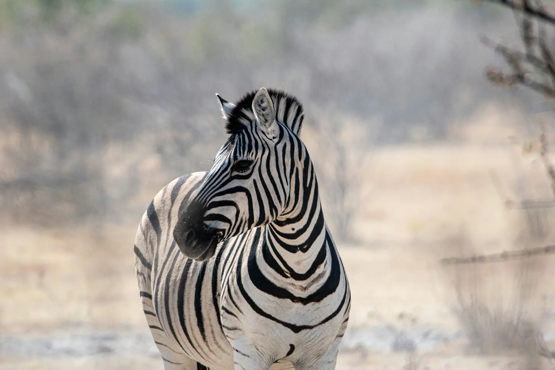 Namibia