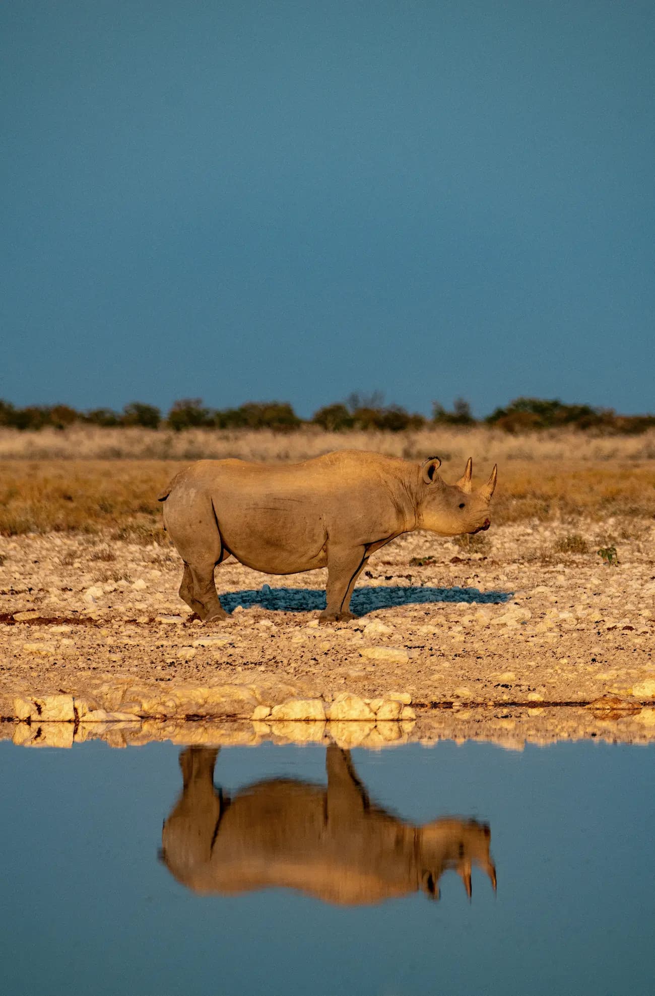Imagen representativa de Namibia