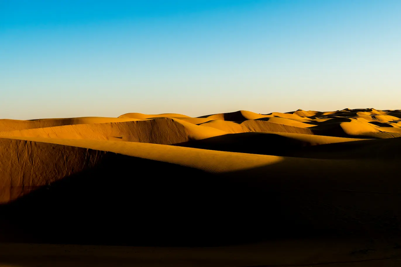 Aventura en el Desierto de Wahiba
