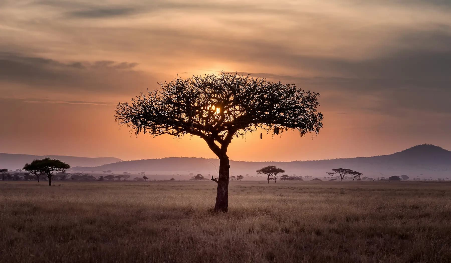 Tanzania