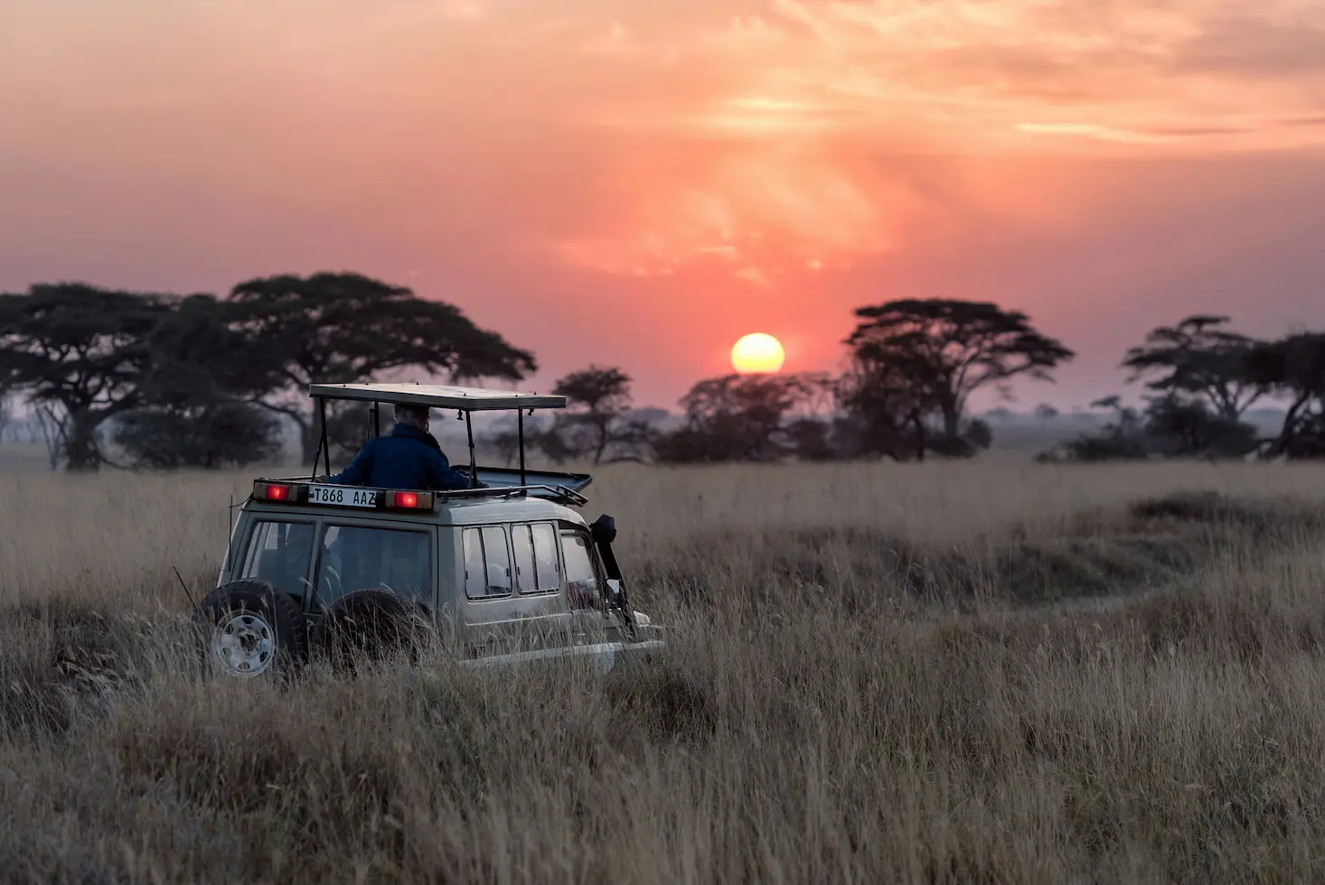 Safari en Queen Elizabeth