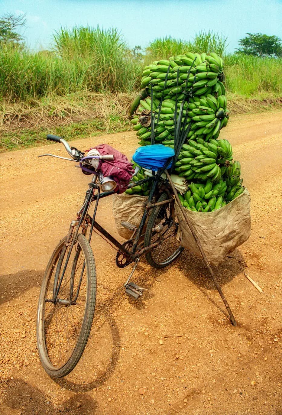 Imagen representativa de Uganda