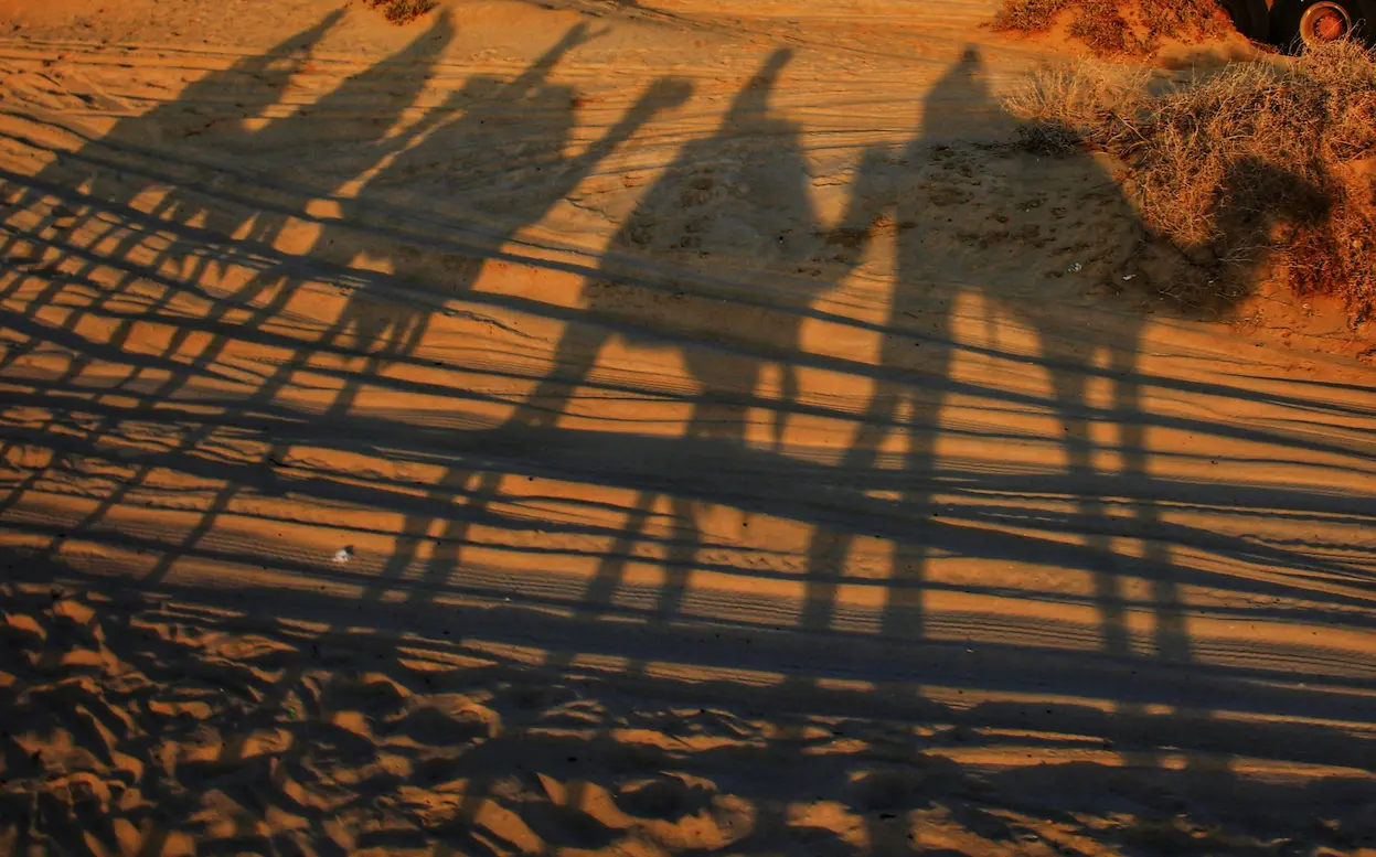 Safari en el desierto