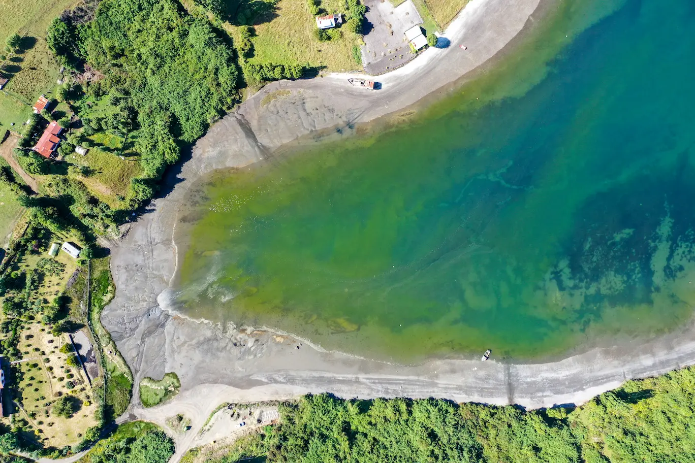 Avistamiento de fauna en Chiloé