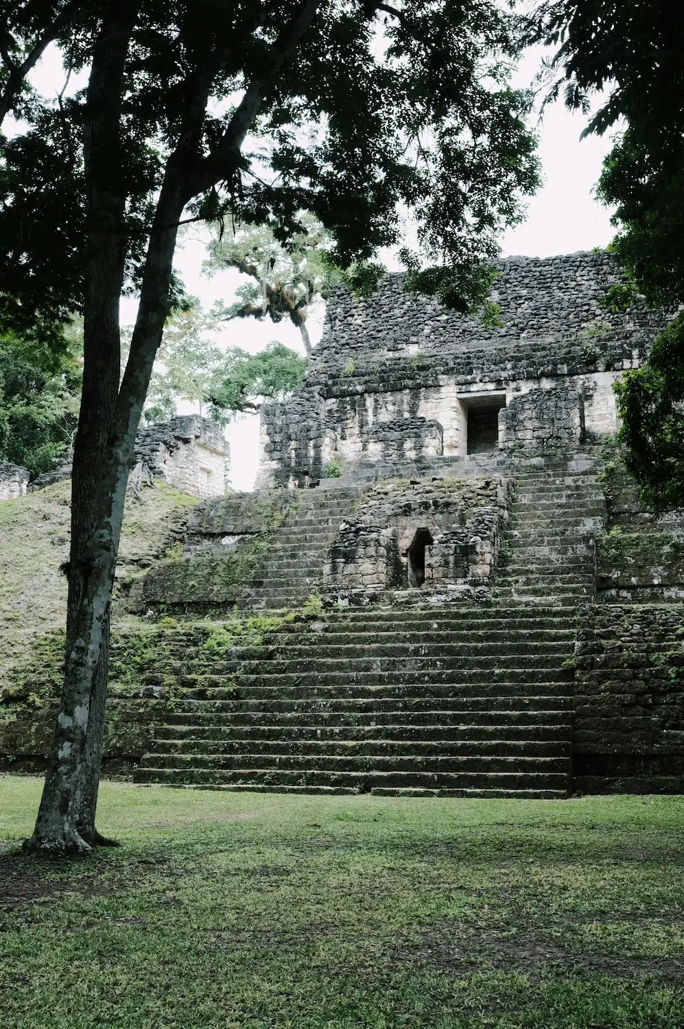 Exploración de Tikal