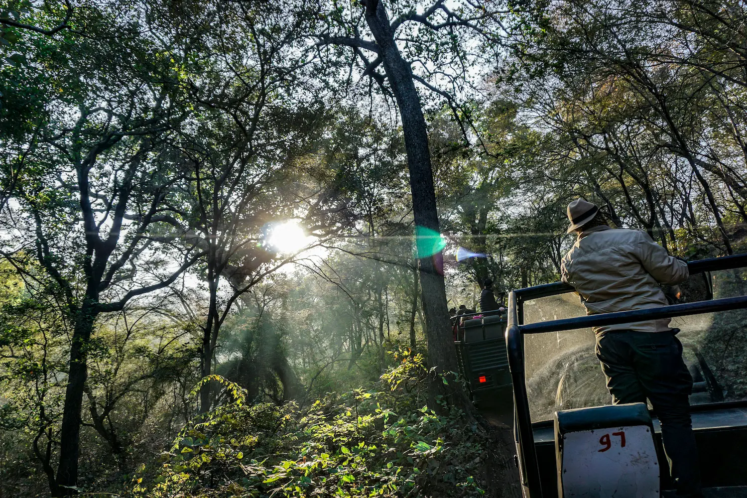 Safari en el Parque Nacional de Ranthambore