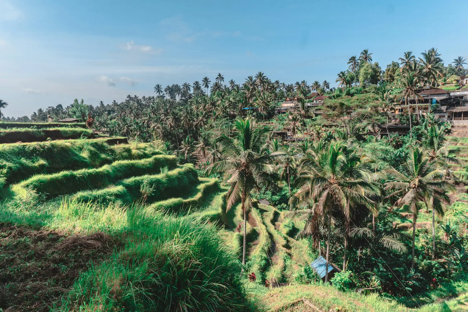 Relajación en Ubud