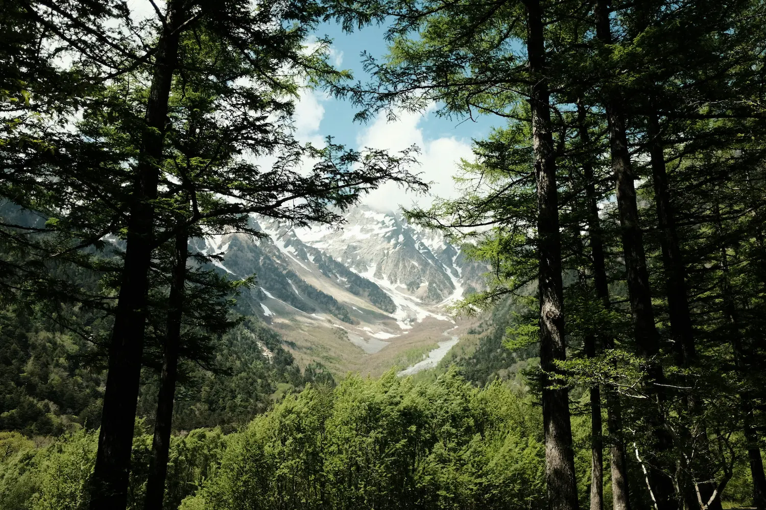 Caminata en los Alpes Japoneses