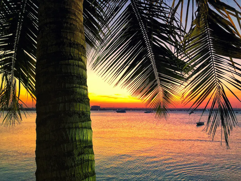 Navegación en Dhow por la costa