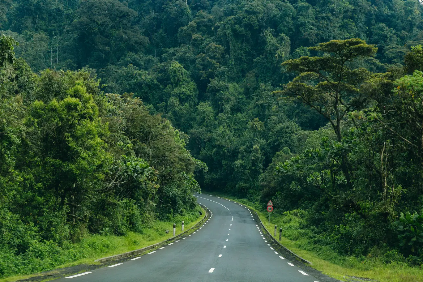 Canopy Walk en Nyungwe