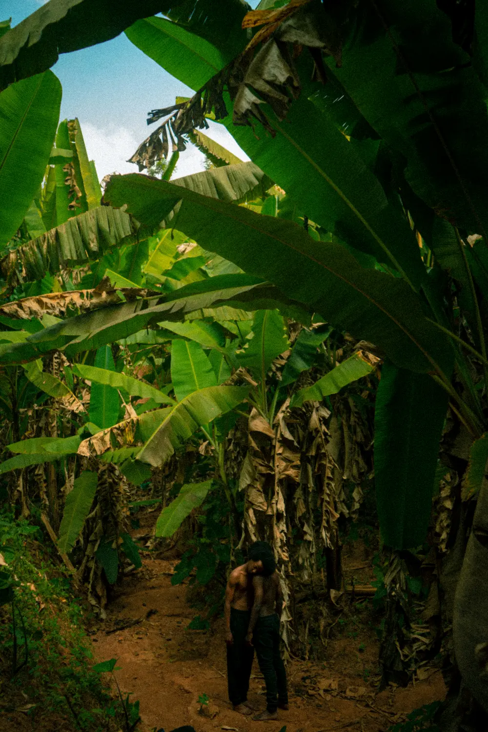 Imagen representativa de Ruanda